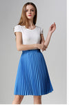 Vintage High Waist Chiffon Pleated Skirt